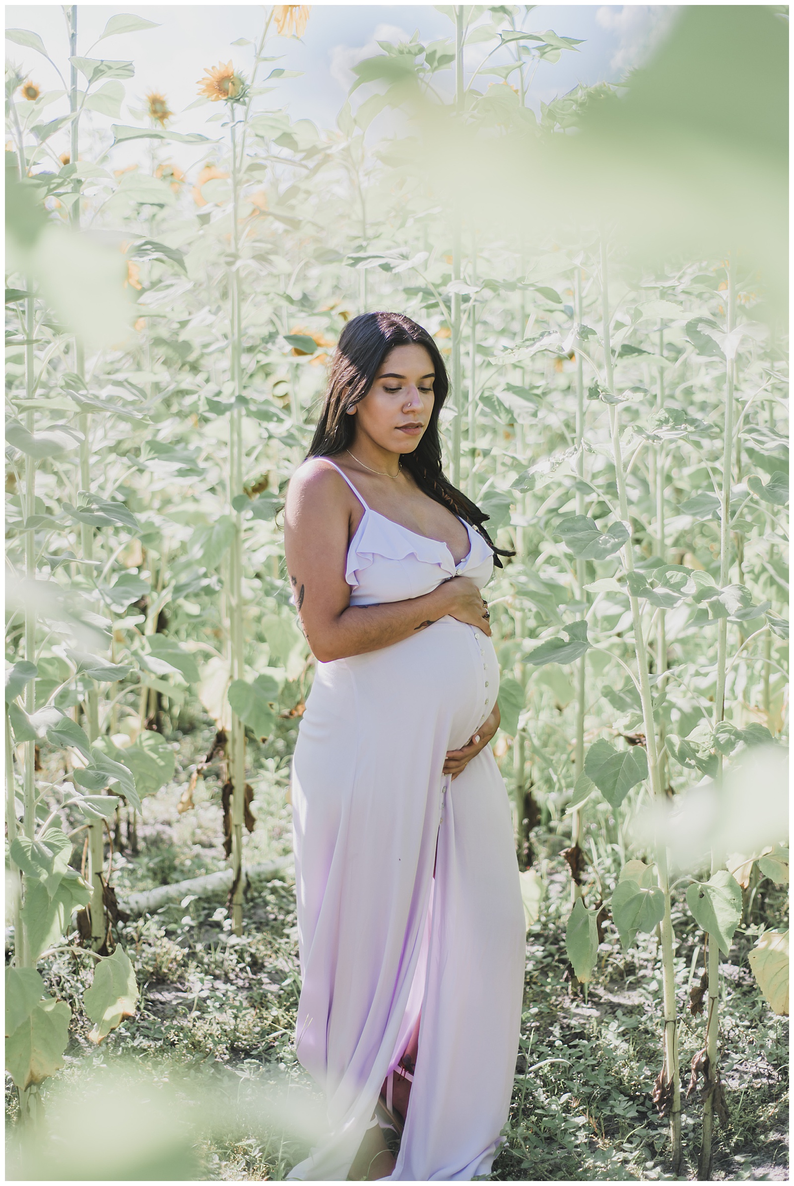 Sunflower Maternity Session - Haleigh Nicole Photography | Blog