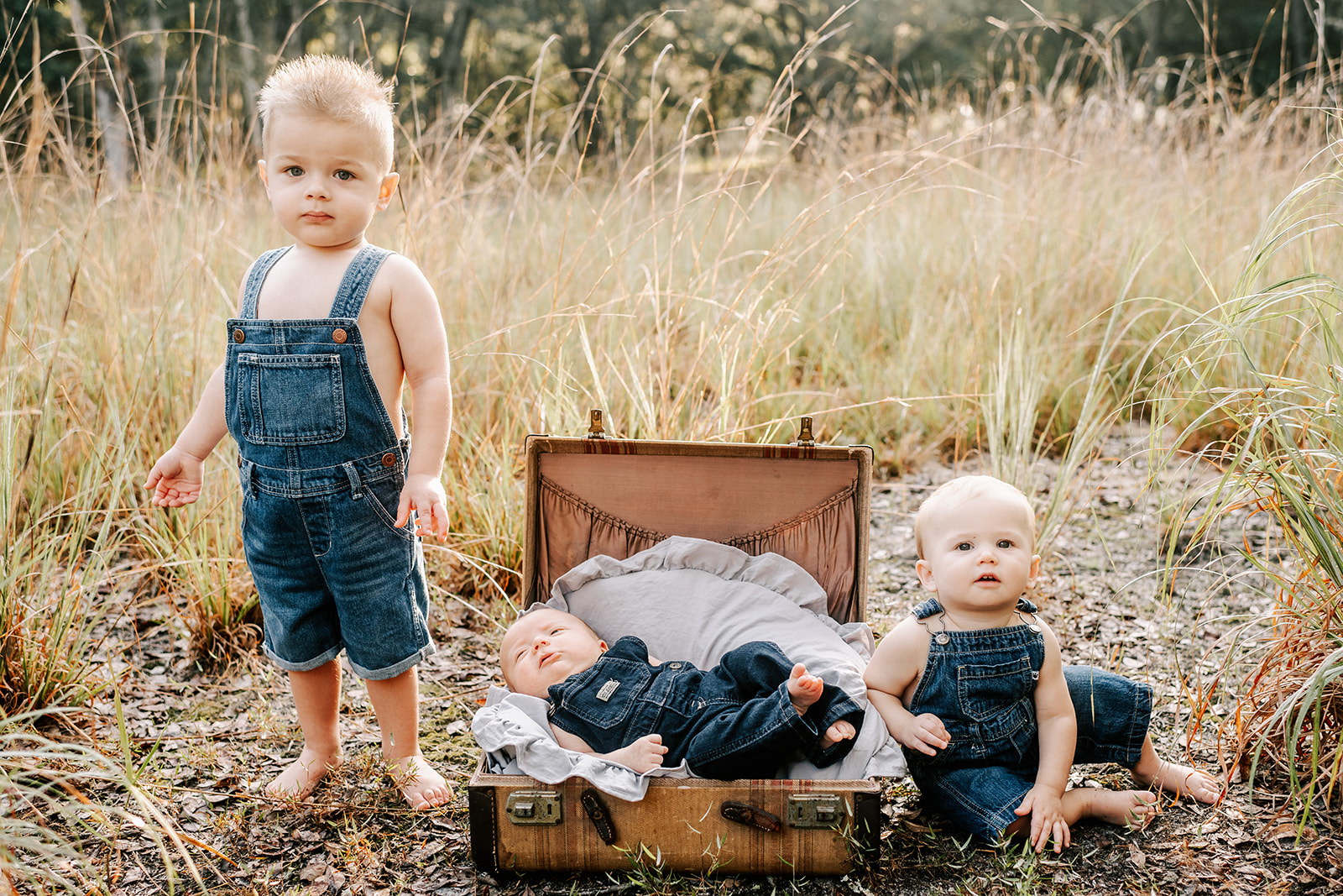Two young brothers in overalls sit and stand with their sleeping newborn brother in a suitcase while in a field of tall grass