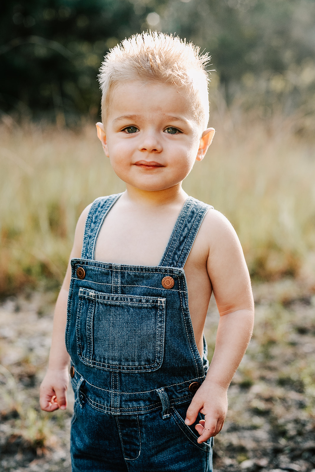 A young boy in blue overalls stands in a forest at sunset before doing some Asheville Apple Picking