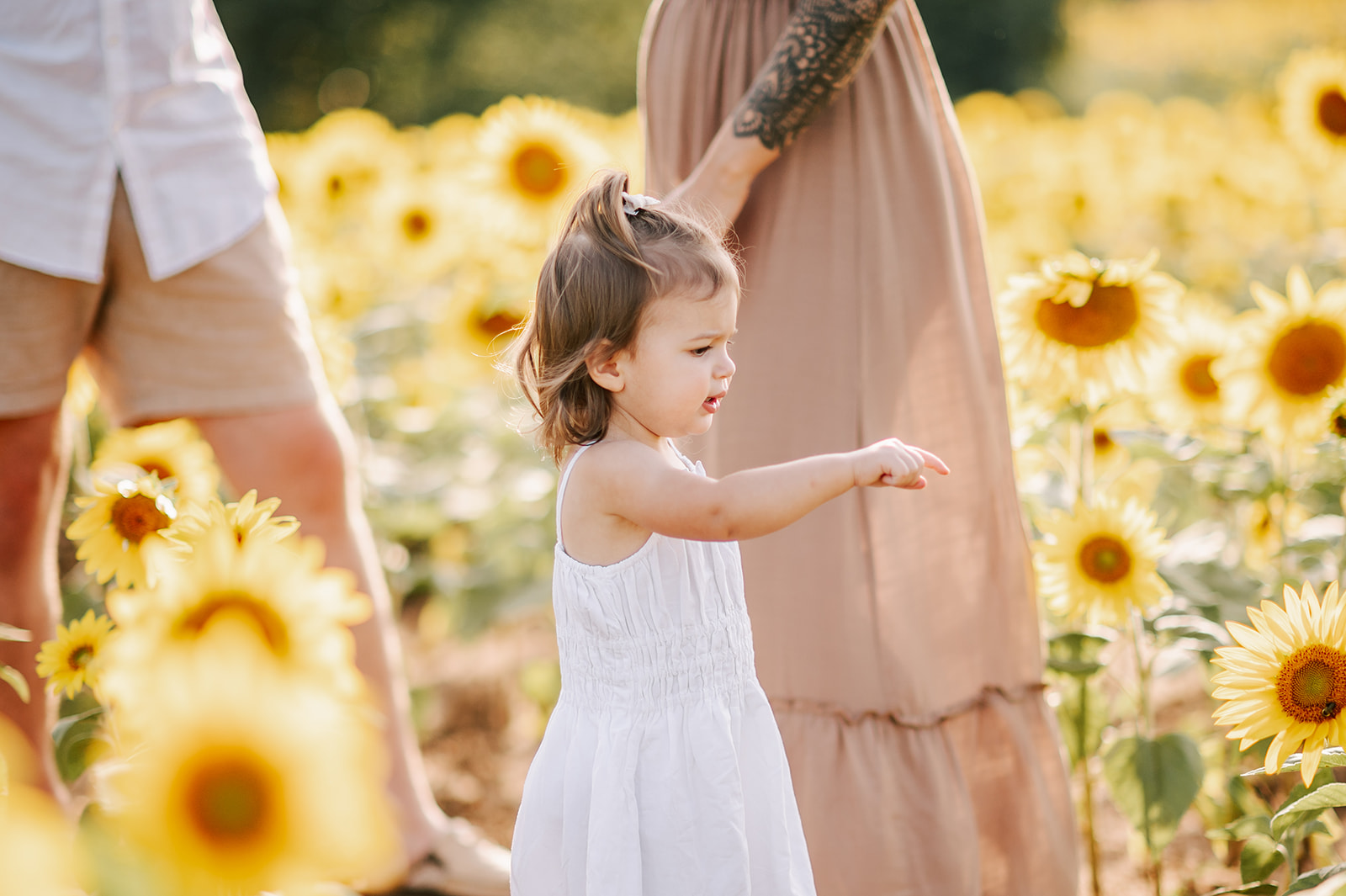 A curious young toddler in a white dress points at a bee on a sunflower while mom and dad walk behind her in a field of sunflowers during Asheville Fall Activities