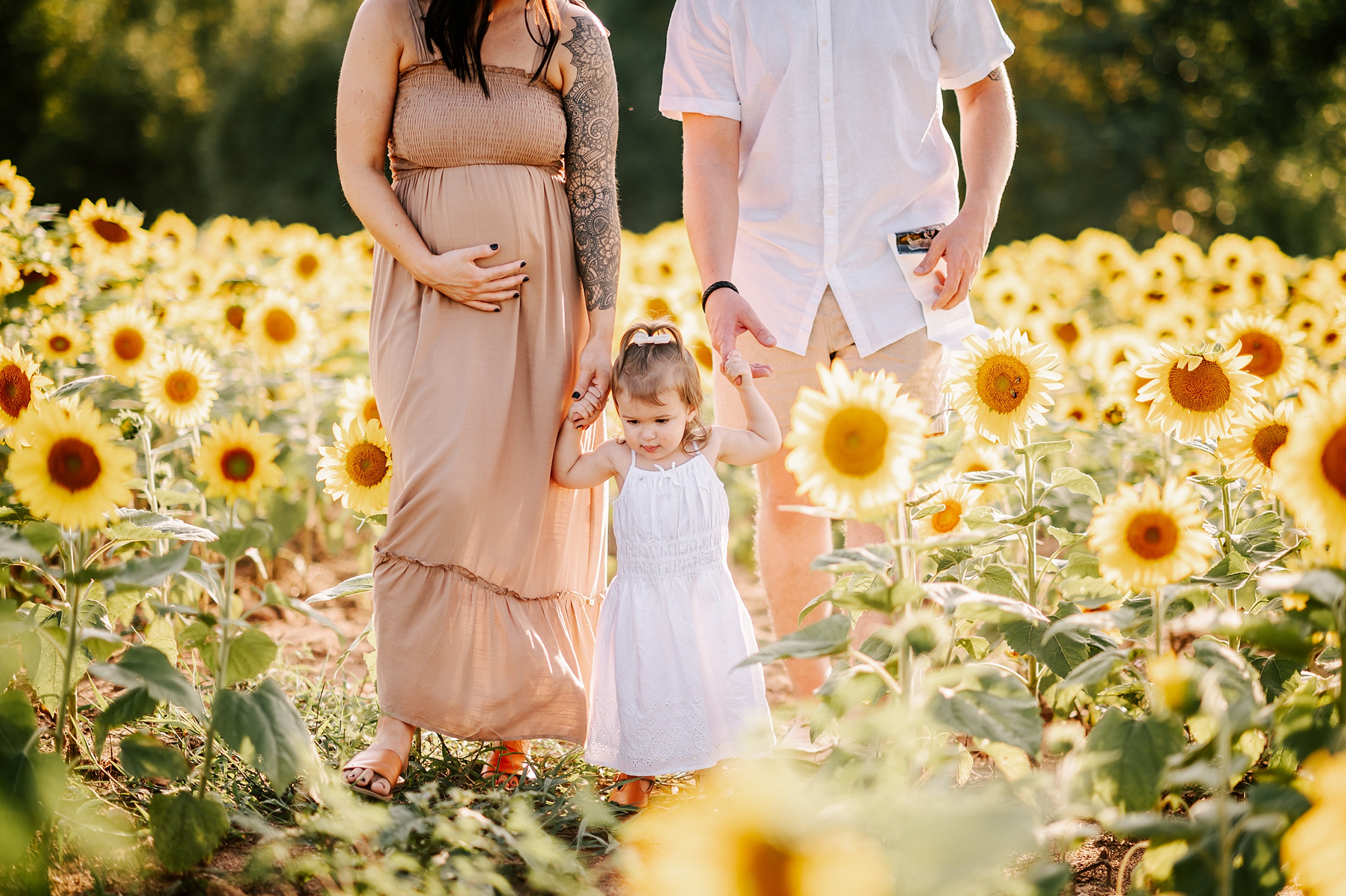 A toddler girl in a white dress walks through a sunflower field holding pregnant mom's and dad's hands after meeting with maternal fetal medicine at rex
