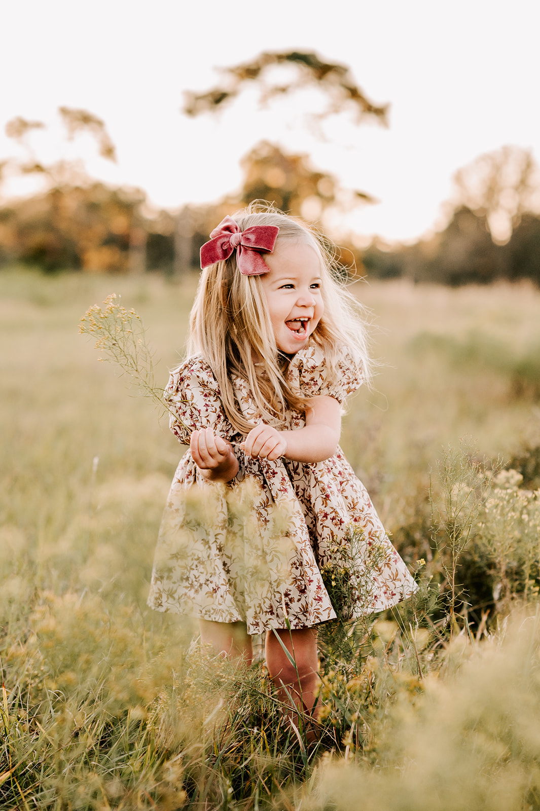 A giggling toddler girl in a floral print dress picks flowers at sunset in a meadow